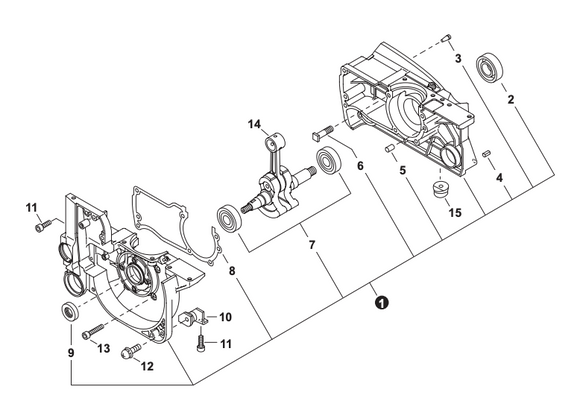 Echo Cs 800P, Cs-8000,  Qv-8000 Crankcase Assembly (Fig 1) 10020430833