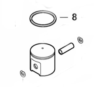 Echo Cs-450, CS-450P Piston Ring (Fig 8) New OEM 10001138930