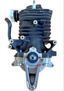 Stihl BR 800CE, 800X Short Block (fig 1) New OEM 42830200200-1