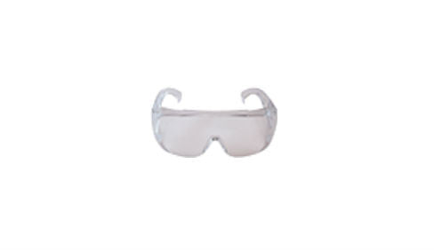 Echo Safety Glasses Clear New OEM 102922051