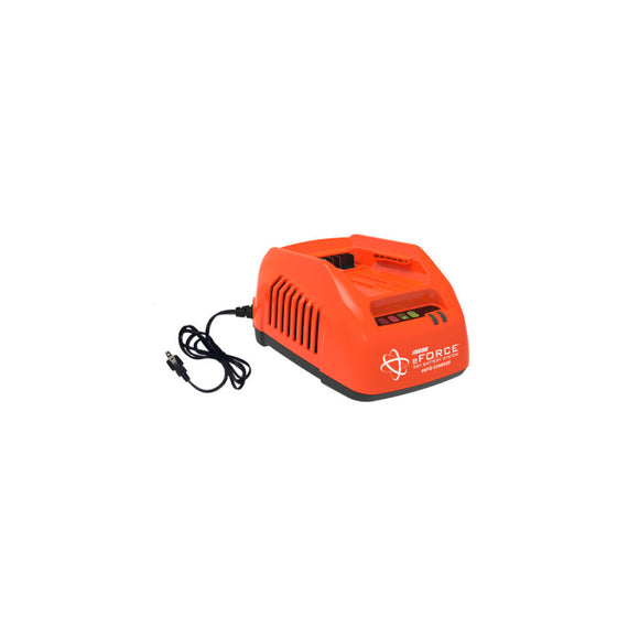 Echo DCS-2500T, DCS-2500TN, DHC-2300, DLM-2100SP, DPAS-2100SB, DPAS-2600, DPB-2500, DSRM-2100, DSRM-2600U, DCS-5000 eForce Battery Chainsaw Charger, Standard 56V