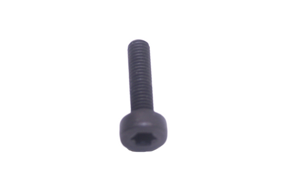Echo 5Mx25 Torx Bolt  Screw V805000220