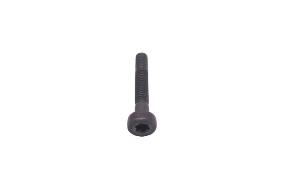 Echo 5Mx30 Torx Bolt  Screw V805000180