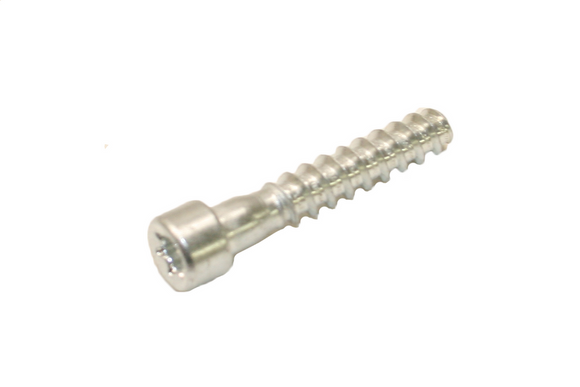 T27 Torx M6 X 26.5Mm Self Tapping New Oem 90744784545